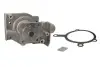 Насос охолоджуючої рідини, з ущільненням FORD MONDEO I, MONDEO II 1.6/1.8/2.0 02.93-09.00 THERMOTEC D1G035TT (фото 1)