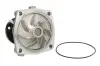 Водяной насос THERMOTEC D1G042TT (фото 1)