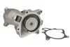 Насос охолоджуючої рідини, з ущільненням LAND ROVER FREELANDER I MG MG ZT, MG ZT- T ROVER 75, 75 I 2.0D 02.99-10.06 THERMOTEC D1K016TT (фото 1)