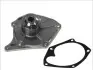 Водяний насос THERMOTEC D1R033TT (фото 1)