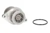 Насос охолоджуючої рідини, з ущільненням AUDI A2 SEAT LEON VW BORA, BORA I, GOLF IV, LUPO I, POLO, POLO III 1.6 09.98-06.06 THERMOTEC D1W044TT (фото 1)