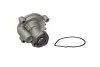 Насос охолоджуючої рідини, з ущільненням AUDI A3 SEAT CORDOBA, IBIZA III, IBIZA IV, IBIZA IV SC SKODA FABIA II, OCTAVIA II, RAPID, ROOMSTER VW EOS, GOLF PLUS V, GOLF V 1.4/1.6/1.8 02.02-05.22 THERMOTEC D1W056TT (фото 2)