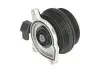Насос охолоджуючої рідини AUDI A1 SEAT ALHAMBRA, IBIZA IV, IBIZA IV SC, IBIZA IV ST SKODA FABIA II VW BEETLE, CC B7, EOS, GOLF PLUS V, GOLF V, GOLF VI, JETTA III 1.4/1.4CNG 11.05-07.18 THERMOTEC D1W064TT (фото 2)