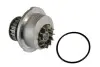 Насос охолоджуючої рідини, з ущільненням OPEL ASCONA B, ASCONA C, CORSA A, CORSA A TR, CORSA A/HATCHBACK, KADETT D, KADETT E, KADETT E COMBO, KADETT E/KOMBI, MANTA B 1.3 03.79-02.93 THERMOTEC D1X009TT (фото 1)