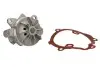 Насос охолоджуючої рідини, з ущільненням NISSAN INTERSTAR, PRIMASTAR OPEL MOVANO A, VIVARO A RENAULT AVANTIME, ESPACE III, ESPACE IV, LAGUNA II, MASTER II, MEGANE II 2.0D-3.0D 07.00- THERMOTEC D1X045TT (фото 1)