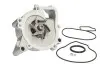 Водяной насос THERMOTEC D1X052TT (фото 1)