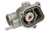 Термостат THERMOTEC D2M009TT (фото 2)