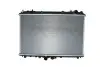 Радиатор THERMOTEC D75001TT (фото 1)
