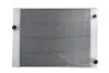 Радиатор THERMOTEC D7B028TT (фото 2)