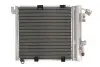 Радиатор кондиционера THERMOTEC KTT110000 (фото 1)