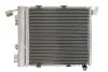Радиатор кондиционера THERMOTEC KTT110000 (фото 2)