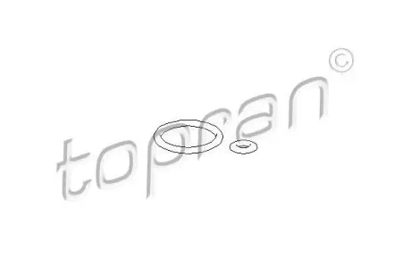Регулятор тиску подачі палива TOPRAN / HANS PRIES 100736
