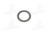 Прокладка масляного каналу ГБЦ Lexus Daihatsu TOYOTA 9043027005 (фото 3)