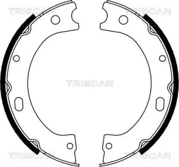 Комплект гальмівних колодок, Стоянкове гальмо TRISCAN 810014011