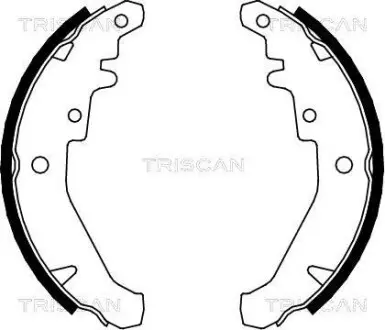 Комплект гальмівних колодок TRISCAN 810015026