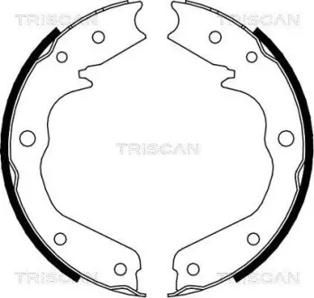Комплект гальмівних колодок, Стоянкове гальмо TRISCAN 810024002