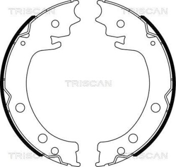 Комплект гальмівних колодок, Стоянкове гальмо TRISCAN 810069006