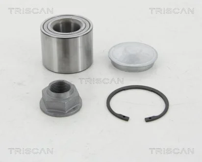 RENAULT підшипник маточини задн Kangoo 08-, Dacia Duster 10- TRISCAN 8530 10293