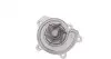 Помпа води MB Vaneo 1.6/1.7 CDI/1.9 02-05 TRUCKTEC 02.19.201 (фото 4)