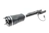 Амортизатор (передний) MB M-class (W164)/Gl-class (X164) 05-12 (пневмо) (вар. оснастка ADS) TRUCKTEC 02.30.170 (фото 11)
