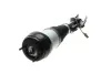 Подушка пневмоподвески (спереди) MB GL-class (X166) 12-(L) TRUCKTEC 02.30.368 (фото 11)