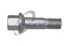 Болт колеса MB G-class (W461/W463) 03- (M14x1,5mm) TRUCKTEC 02.33.032 (фото 1)