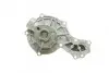 Помпа води Audi A4/A6/VW Passat 1.6/1.8/1.8T/quattro 94-05 TRUCKTEC 07.19.082 (фото 8)