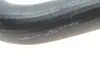 Патрубок інтеркулера (R) BMW 3 (F30/F80)/5 (F10)/X5 (F15/F85) 06-18 N20/N26 TRUCKTEC 08.14.095 (фото 2)