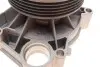 Насос воды BMW 3 (E46) 318d/320d 98-03 TRUCKTEC 08.19.058 (фото 3)