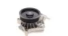Помпа води BMW 3 (E90/E91/E92) 06-13/X3 (E83) 04-10 TRUCKTEC 08.19.236 (фото 6)