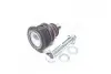 Опора кульова (передня/знизу) Nissan Note/Micra 02-13 TRW JBJ723 (фото 2)