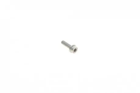 Болт піддону масляного Audi A3/A4/A5/A6/Q3/VW Caddy/Golf/Passat 96- (M6x22) VAG N90500605