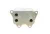 Радіатор масляний SEAT; VW; SKODA; AUDI Van Wezel 03013704 (фото 3)