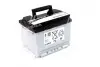 Аккумулятор 56Ah-12v BLD (C15) (242х175х190), L, EN480! КАТ. -10% VARTA 556 401 048 (фото 3)