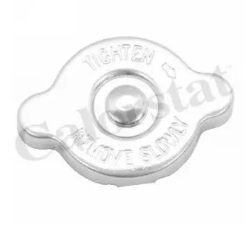 Кришка радіатора охолодження MAZDA/RENAULT Vernet RC0193