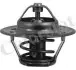 Термостат Alfa Romeo Giulia/Skoda Fabia 1.3-1.6i 74- (82 C) (jiggle-pin) Vernet TH1290.82J (фото 1)