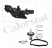Термостат MB W176/Citan/Renault Clio/Kangoo/Megane 1.5 D/dCI/Cdi 09- (83C) Vernet THK7276.83J (фото 1)