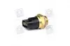 Датчик включения вентилятора AUDI A4/A6/VW Golf III 1.0-4.2 71-02 (95°-85°/102°-92°C) Vernet TS1874 (фото 3)