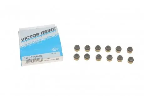 Комплект сальників клапану DIVERSE VICTOR REINZ 12-31306-08