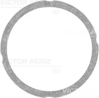 Прокладка головки циліндра VICTOR REINZ 612547530