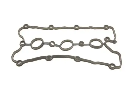 Прокладка клапанної кришки Audi A4, A6, A8 2.4, 3.2FSI (05-10) Vika 11031789901