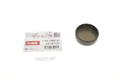 Заглушка головки блоку VW Passat (96-00,00-05), Touareg (02-10,10-) Vika 11031792701