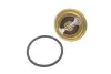 Термоастат AUDI; ROVER; SEAT; SKODA; VW (выр-во) WAHLER 410396.82D (фото 1)