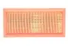 Фильтр воздушный VW /AP013 (выр-во WIX-FILTERS UA) WIX FILTERS WA6176 (фото 1)