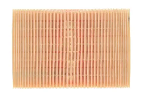 Фильтр воздушный BMW /AP028 (выр-во WIX-FILTERS UA) WIX FILTERS WA6192