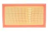 Фільтр повітряний CITROEN C4 II 2.0 BLUEHDI 13- (WIX-FILTERS) WIX FILTERS WA9794 (фото 1)