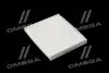 Фільтр салону HYUNDAI SOLARIS II 17-, KIA RIO IV 17- (WIX-FILTERS) WIX FILTERS WP2176 (фото 1)