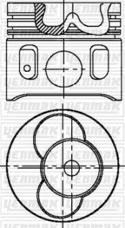 Поршень с кольцами і пальцем (размер отв. 81.01 / STD) VW T4 2.5TDI (1-й, 2-й цил. !!!) (ACV / AGX / AHD / AJT / AXG / APA / ANJ / AUF / AH…) YENMAK 31-04308-000